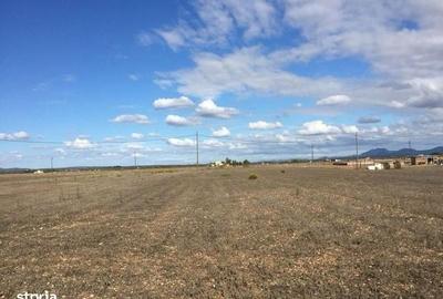 Spațiu comercial, în Central