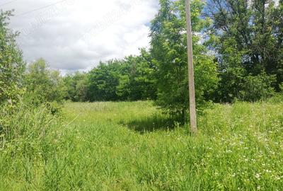 Teren de 1850 mp, în Calvini - 2