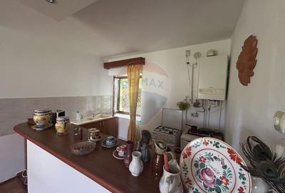 Casa cu teren de vanzare in Busag - 11