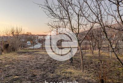 Casă cu 4 camere cu Teren 1310 Mp în Gușterița - 5