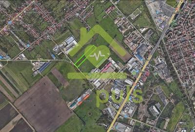 ? Teren intravilan in Freidorf, 49 Euro/mp? - 3