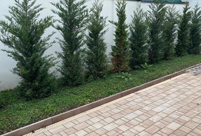 Apartament in bloc boutique f spatios Bd Luptatorilor direct PROPRIETAR-acte la zi NU SE APLICA TVA - 2