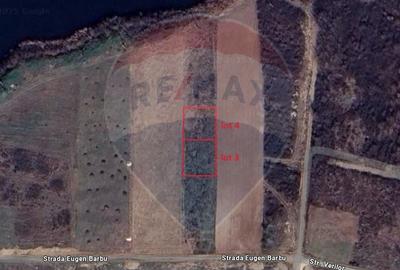 Teren Construcții intravilan de 463 mp, în Mogoșoaia