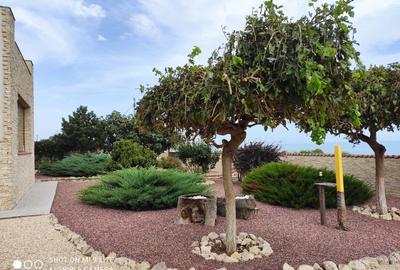 Proprietate Unicat în Costinești-Vila ta Mediteraneană la Marea Neagră - 5