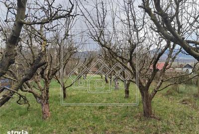 Casă cu 3 camere cu Teren 1355 Mp în Central - 2
