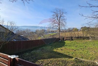 Casă cu 3 camere cu Teren 900 Mp în Cacica - 12