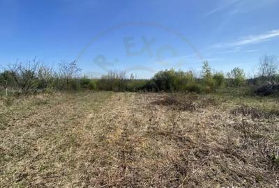 Teren de 900 mp, în Moșoaia - 2