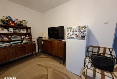 Apartament cu 3 camere decomandat în George Enescu - 5