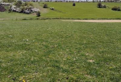 Teren de 3032 mp, în Ciurila - 3