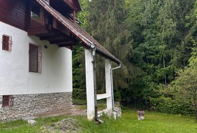 Duplex deosebit cu vedere panoramica spre munti si padure - Tocile, Sadu - 4