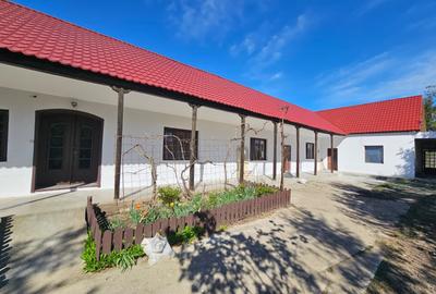 Casă individuală cu 6 camere cu Garaj în Sânandrei - 1