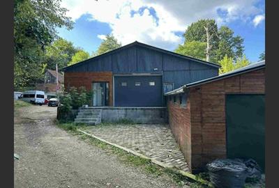 Hale de inchiriat pe drumul Lupacului - 2