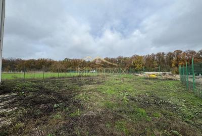 Teren Construcții intravilan de 644 mp, în Balotești - 7