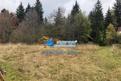 Teren 850 mp Predeal Cioplea - Belvedere - 11