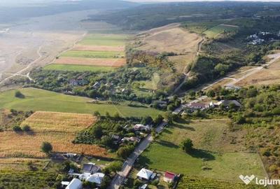 Teren de 4267 mp, în Satu Nou (Panciu) - 6