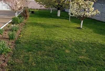 Casă cu 3 camere în Aurel Vlaicu - 7