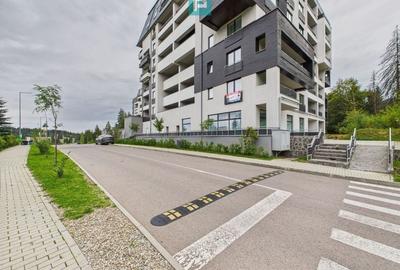 Proprietate premium Silver Mountain Resort - 18