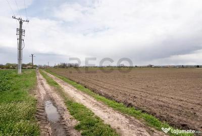 Teren de 5663 mp, în Oșorhei - 2