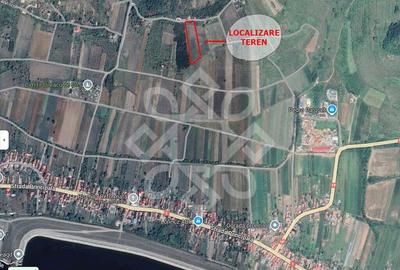 Teren extravilan de 4045 mp in zona Tileagd - 3