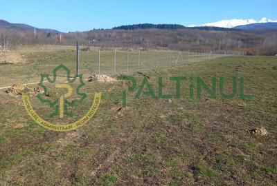 Teren de 1737 mp, în Chirpăr - 2