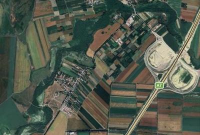 Teren de 130000 mp, în Armeni - 2