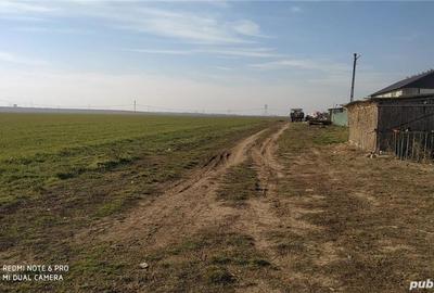 Teren de 9740 mp, în Bălăceanca - 2