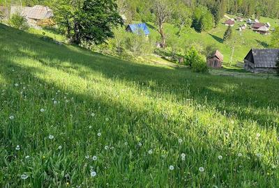 Teren de 4000 mp, în Gârda de Sus - 1