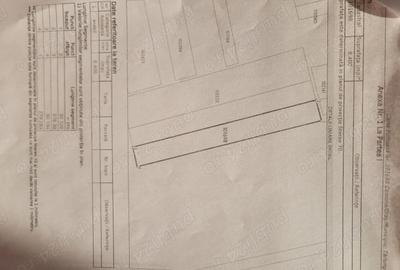 Teren de 8400 mp, în Tărlungeni - 4