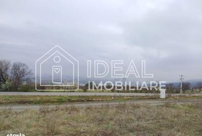 Spațiu comercial, în Roșia