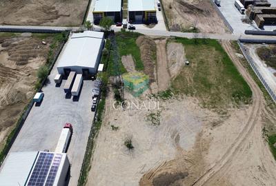 Teren Construcții intravilan de 2211 mp, în Cernica - 4