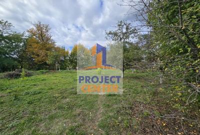 Casă individuală cu 7 camere cu Teren 2211 Mp în Nord - 11