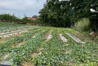 Casă cu Teren 970 Mp în Central - 7