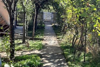 Casă cu 3 camere în Poșta Câlnău - 4