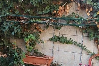 De vanzare Casa individuala singur la curte, Mihail Sebastian, CENTRAL - 6