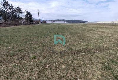 Teren intravilan de 6775 mp, în Bartolomeu - 4