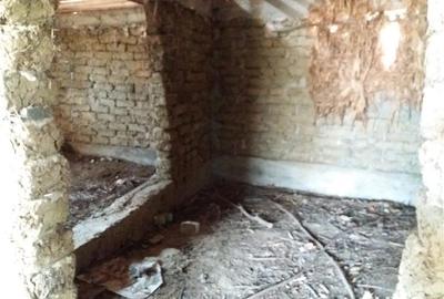 Casă cu 3 camere cu Teren 3850 Mp în Ciurea - 5