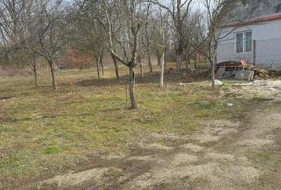 Casa str salcamilor nr 68 zona dealul viilor - 9