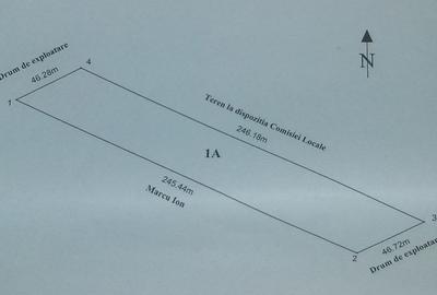 Teren Construcții de 9200 mp, în Bolintin-Deal - 4