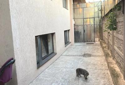 Inchiriere 4 camere | Parter | Curte | Damaroaia | Bucurestii Noi - 8