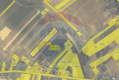 Teren extravilan 12000 mp- Padureni-?endriceni, Boto?ani - 4