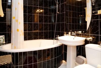 Apartament 3 camere, Grigore Alexandrescu, Piata Victoriei Apartament 3 camere, Grigore Alexandrescu, Piata Victoriei - 12