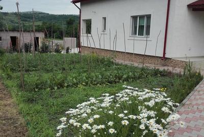 Casă cu 4 camere cu Teren 1500 Mp în Central - 3