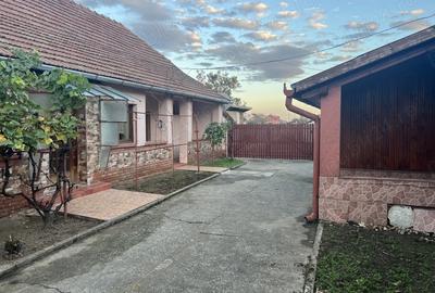 Casa de vanzare Cenad - 9