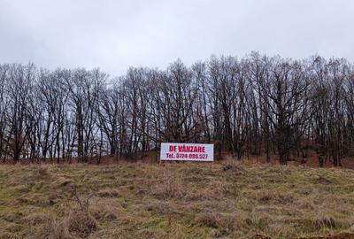 Spațiu comercial, în Reghin - 5