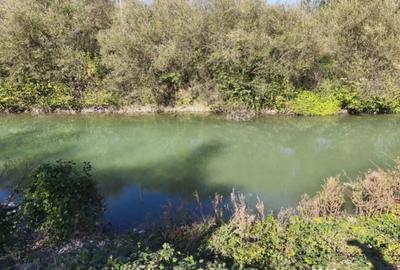 Teren de 7178 mp, în Frătăuții Vechi - 4