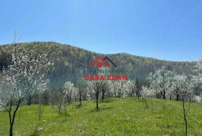 Teren de 9104 mp, în Brebu - 12