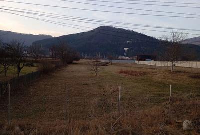 Teren de 1500 mp, în Pângărați - 4