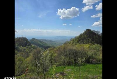 Teren de 3000 mp, în Certeju de Sus - 3