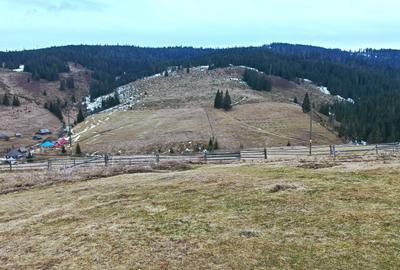 10598 mp TEREN INTRAVILAN SUPERB , in Statiunea Turistica Montana BELIS - CLUJ