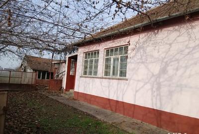 Casa de Vanzare Gepiu - 3